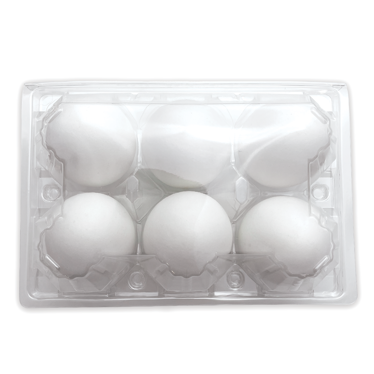 Cornucopia Duck Egg Cartons (8-Pack); Plastic Jumbo Egg Containers for Duck and Turkey Egg Storage