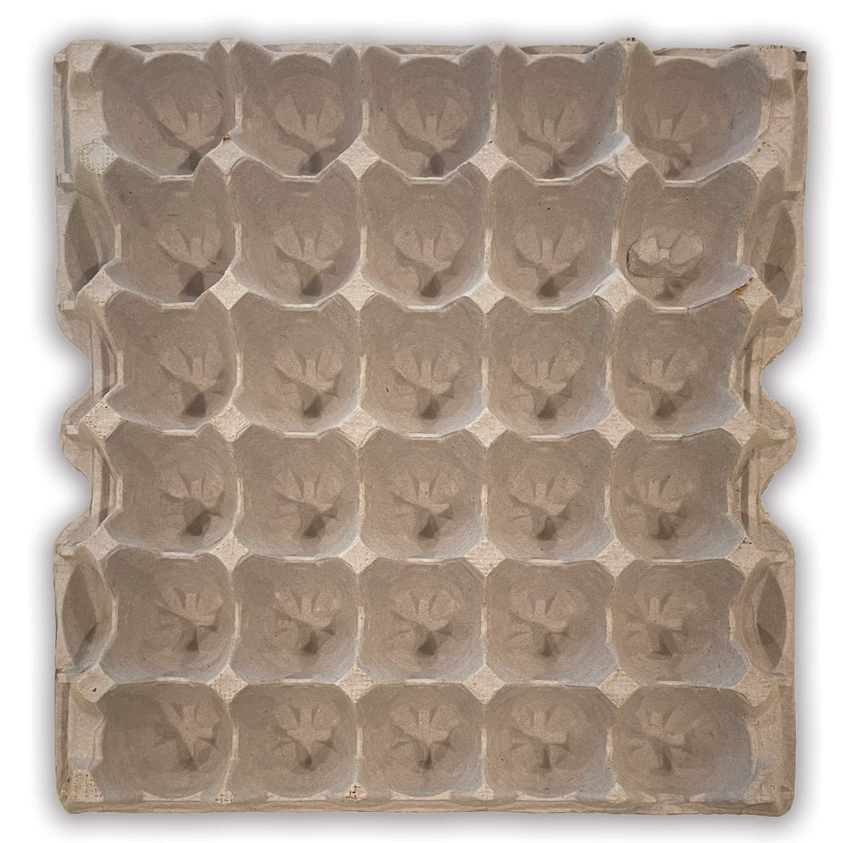 Egg Flat - Paper Pulp 36 Cell Egg Tray –