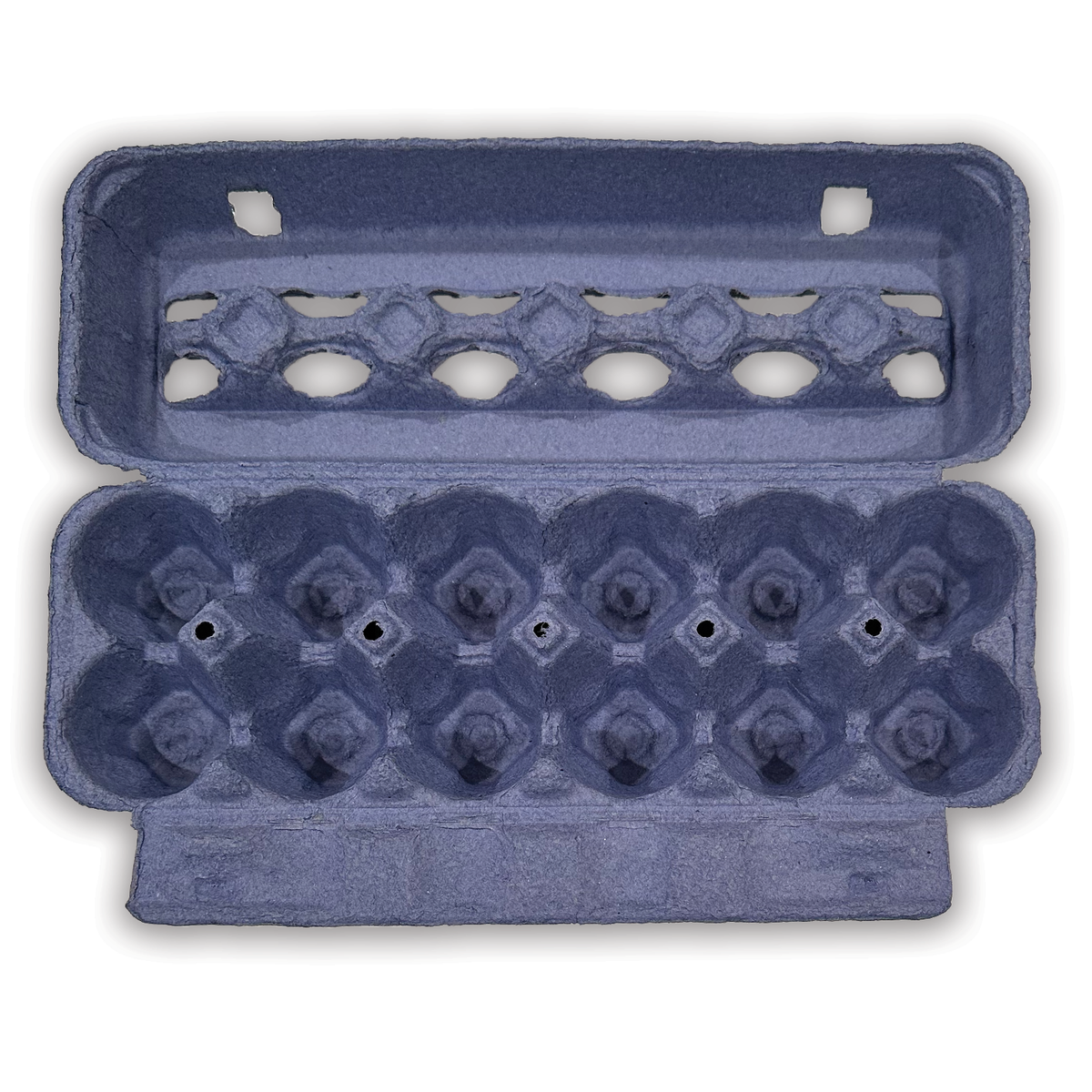 Blue Egg Carton, Pulp 12-Egg Blank – EggCartons.Com