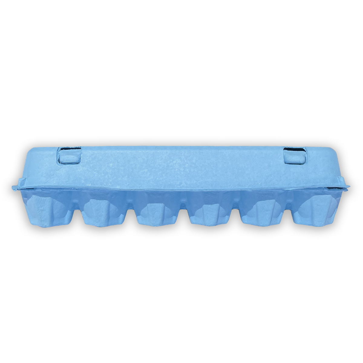 Styrofoam Bulk Egg Cartons (50 pack) Blue