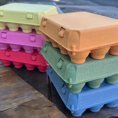 Vintage Egg Cartons in orange pink red green and blue