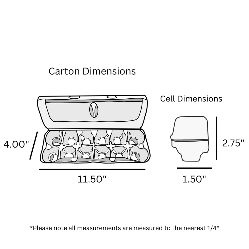 Digital rendering, egg carton dimensions, white foam