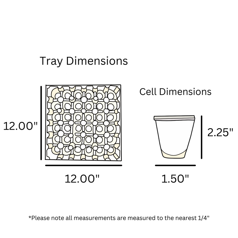 digital rendering of white plastic 36 cell egg tray