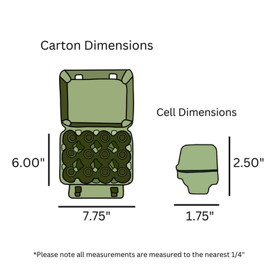 Digital rendering, dimensions, egg carton, vintage, army green, 12-egg