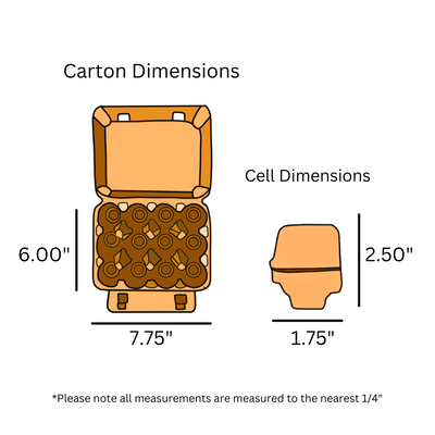 Digital rendering of a orange vintage egg carton with dimensions