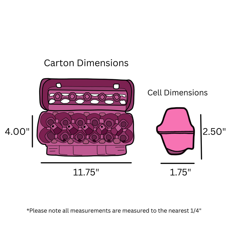 12-Egg Pink Open View Carton Dimensions