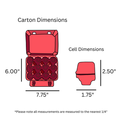 Digital rendering of a red vintage egg carton with dimensions