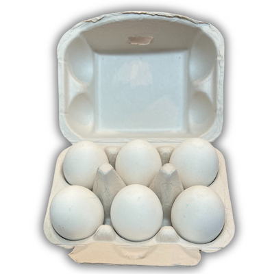 6-Egg Off-White filled with eggs