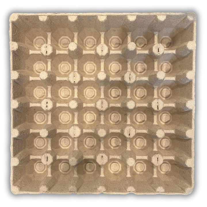 Natural paper pulp tray with 36 cells top view