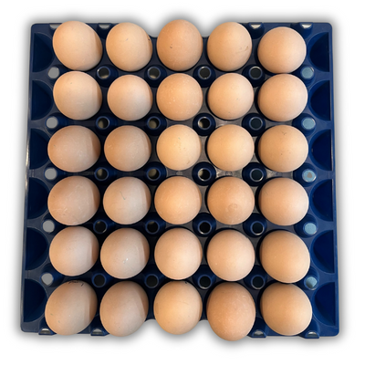 30-Cell Stackable Blue filled with eggs