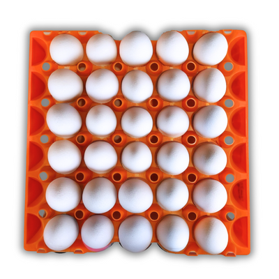 30-Cell Stackable Orange filled with eggs