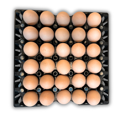 30-Cell Washable Black filled with eggs