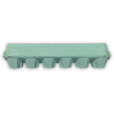 Teal Egg Cartons Holds 12 Eggs