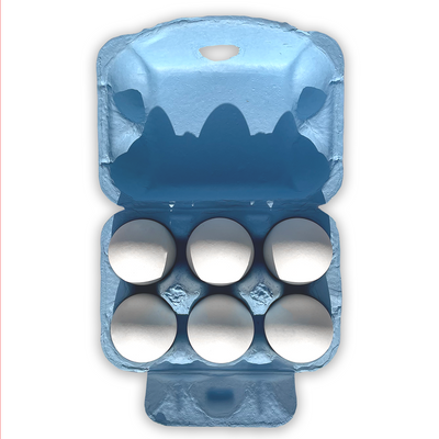 Pulp 6-Egg Blank Baby Blue Egg Carton – EggCartons.Com