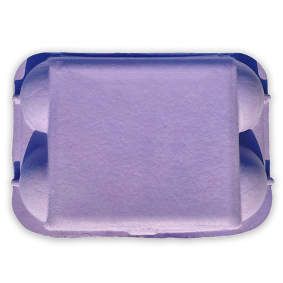 Pulp 6-Egg Blank Purple Egg Carton 